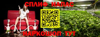 ECSTASY Краснокаменск