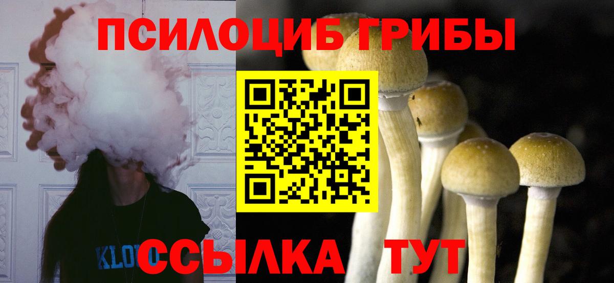 Галлюциногенные грибы MAGIC MUSHROOMS  Галлюциногенные грибы Psilocybe  Вход с VPN  Кировск 